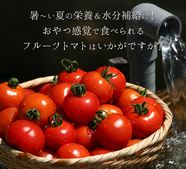 暑い夏にフルーツトマトはいかが？