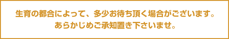 生育によって多少お待ちいただく場合がございます。