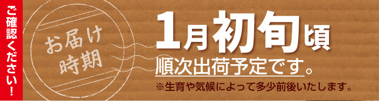 お届け予定日