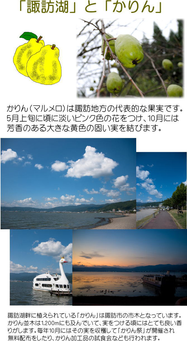 ��ˬ�ФȤ����ʥޥ�����