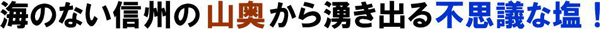 山塩練り羊羹