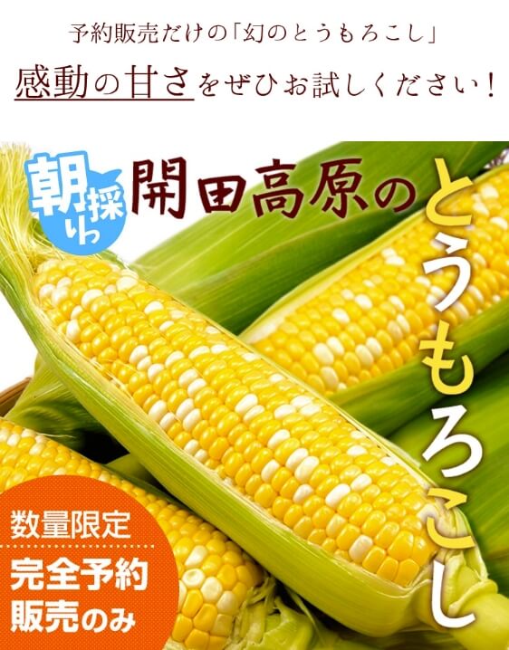 信州木曽 開田高原とうもろこし（10本セット）/8月中旬～発送