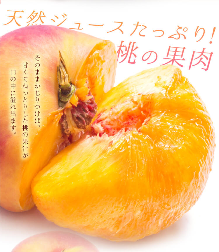信州産 塚平農園 蟠桃（1.5kg箱 約7～12個入り）/8月初旬～発送