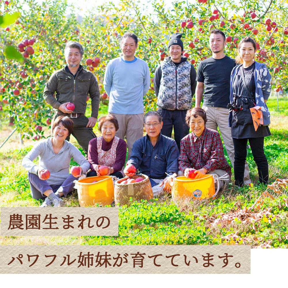 北城農園のりんご-サンふじ